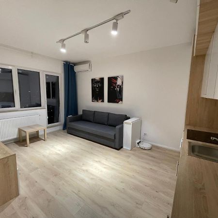 Amethyst Luxury Apartment Palace Bükreş Dış mekan fotoğraf